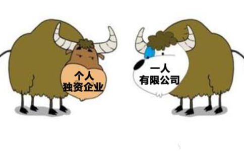 個(gè)人獨資企業(yè)與一人有限公司區別