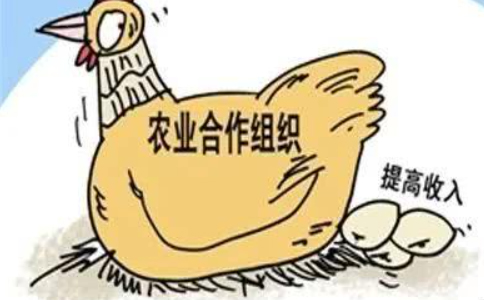 鄭州農民專(zhuān)業(yè)合作社注冊流程(完整版)